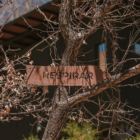 Hotel Vivelo Elqui Landscape Horcón Екстериор снимка