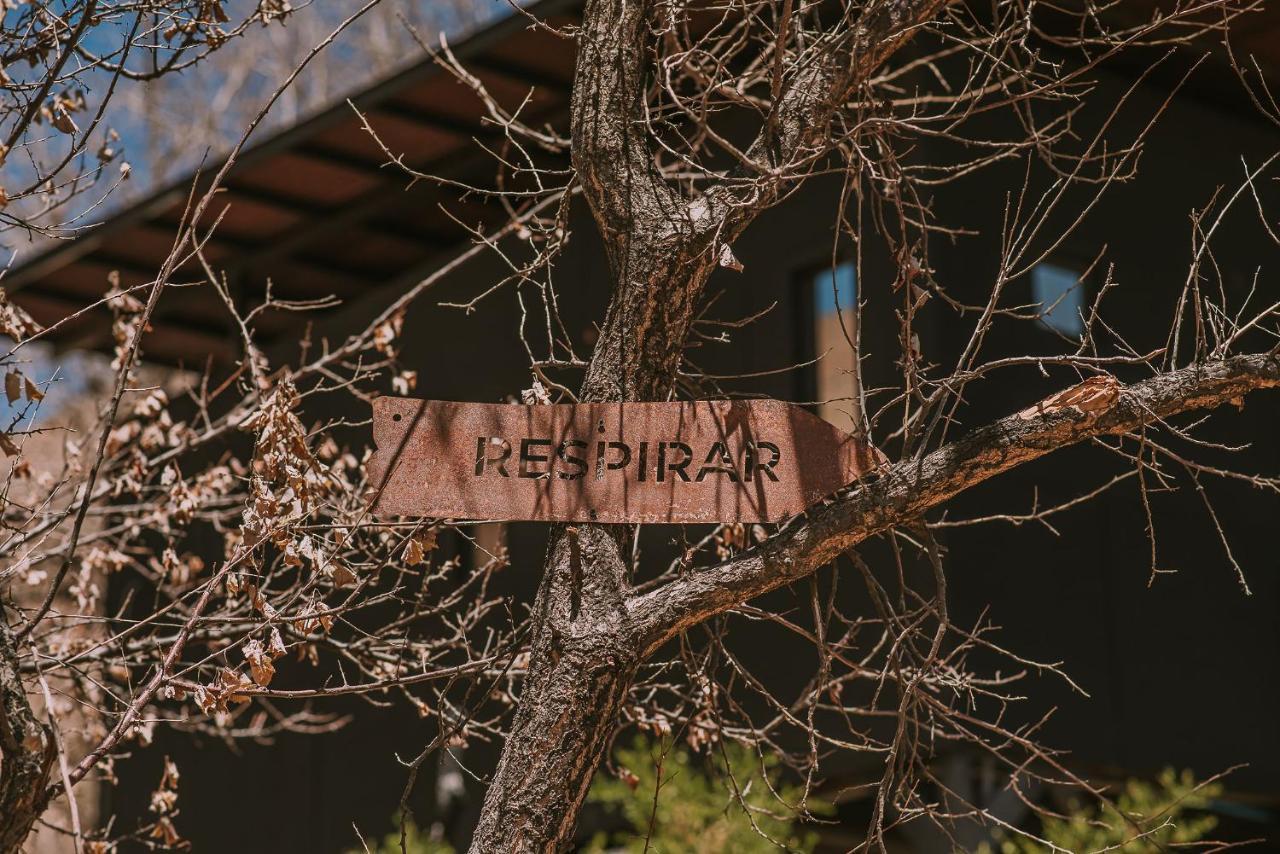 Hotel Vivelo Elqui Landscape Horcón Екстериор снимка
