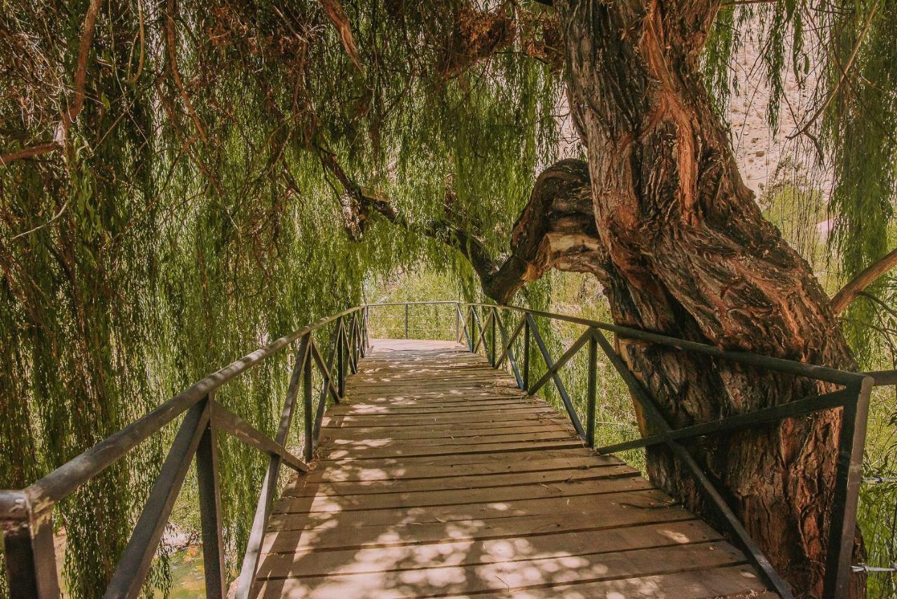 Hotel Vivelo Elqui Landscape Horcón Екстериор снимка